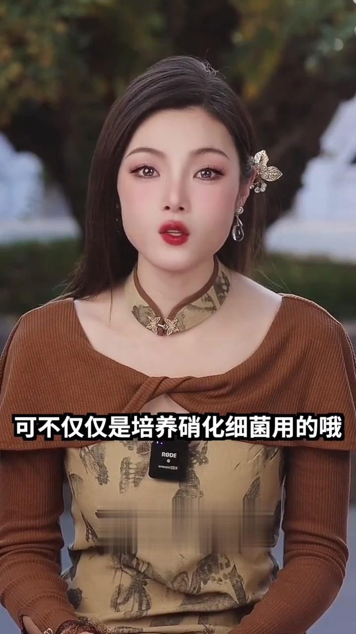 濾材魚缸過濾【新手養魚避坑指南之濾材嗶哩嗶哩嗶哩嗶哩嗶哩】