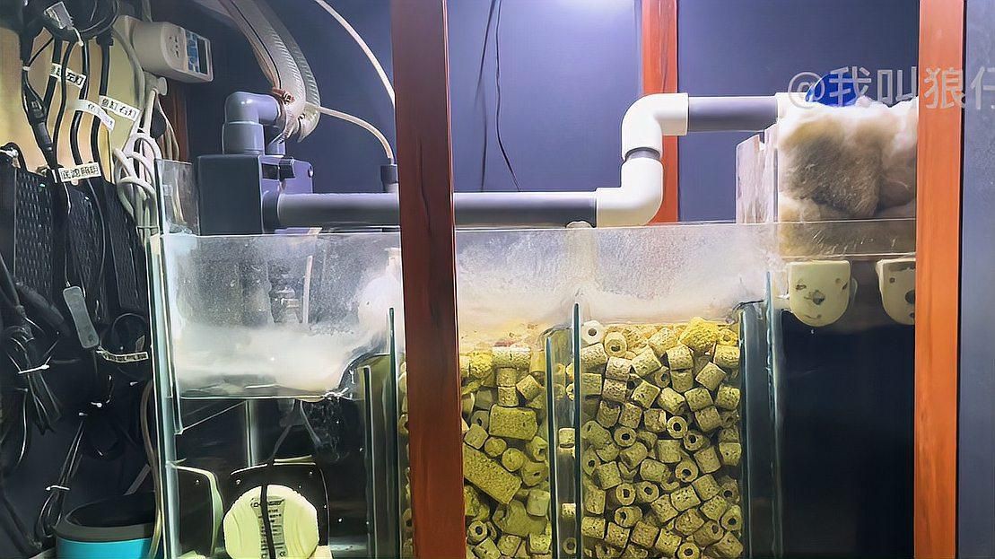 濾材魚缸過濾【新手養魚避坑指南之濾材嗶哩嗶哩嗶哩嗶哩嗶哩】