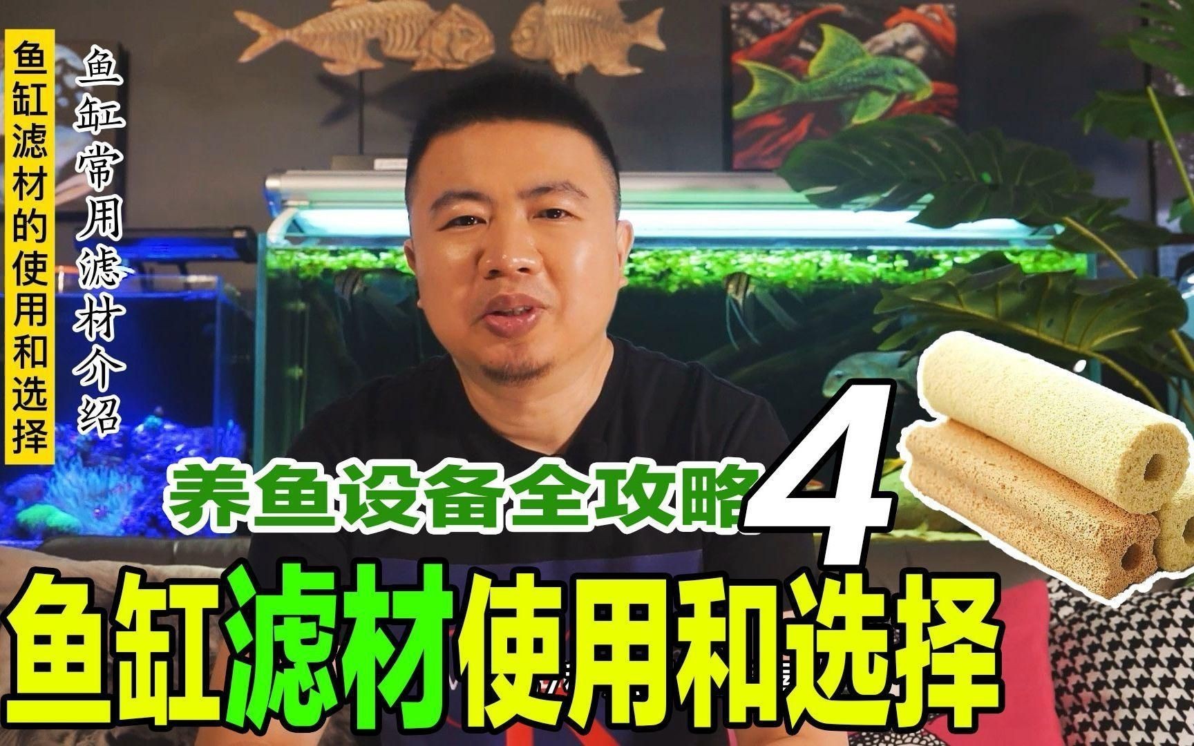 濾材魚缸過濾【新手養魚避坑指南之濾材嗶哩嗶哩嗶哩嗶哩嗶哩】