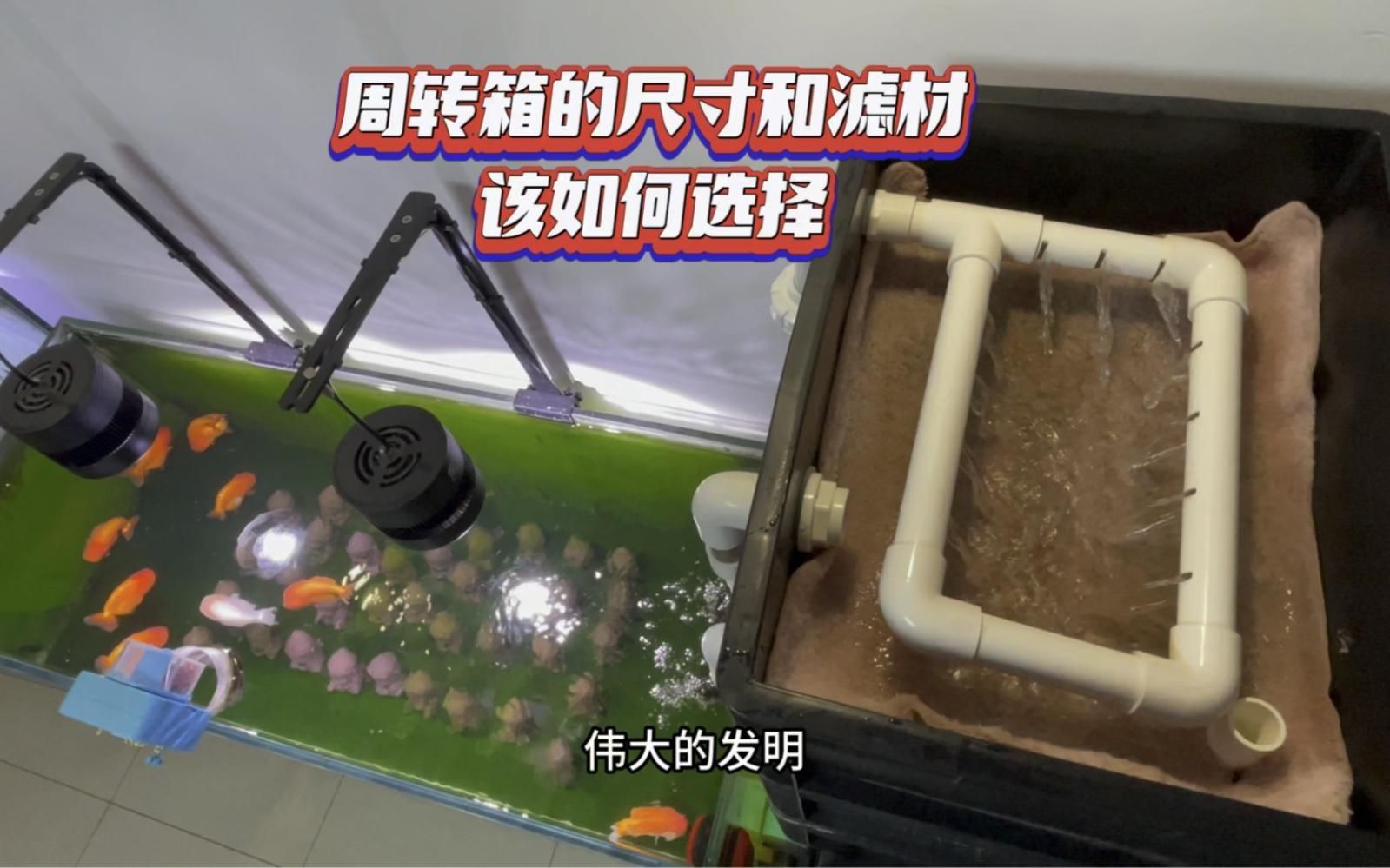 濾材魚缸過濾【新手養魚避坑指南之濾材嗶哩嗶哩嗶哩嗶哩嗶哩】