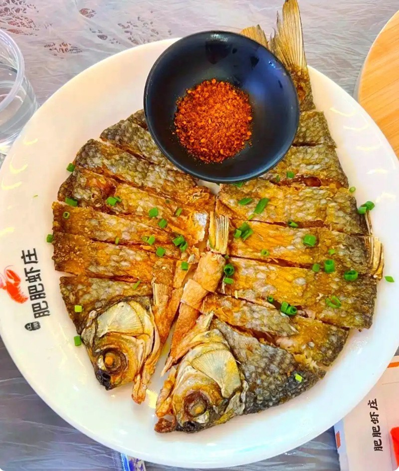 周寧龍魚店【周寧龍魚店有哪些知名品種】