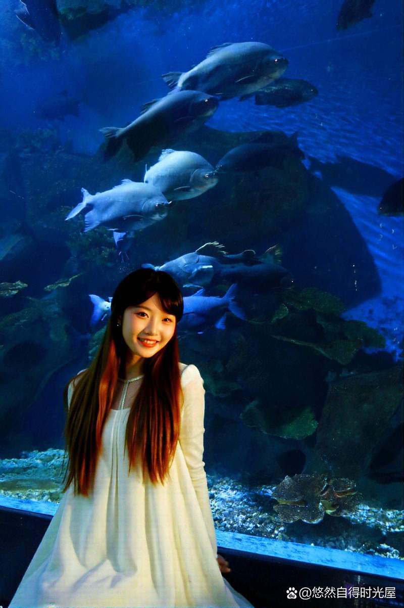 廣西水族店【廣西水族市場規(guī)模有多大】 全國水族館企業(yè)名錄 第2張 廣西水族店【廣西水族市場規(guī)模有多大】 廣西水族店【廣西水族市場規(guī)模有多大】 全國水族館企業(yè)名錄 第2張
