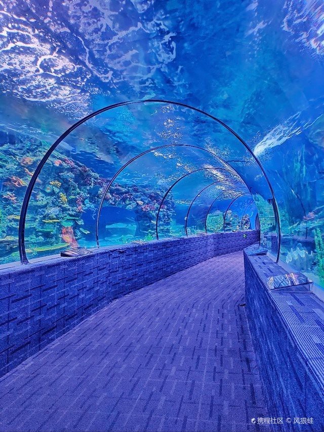廣西水族店【廣西水族市場規(guī)模有多大】 全國水族館企業(yè)名錄 第5張 廣西水族店【廣西水族市場規(guī)模有多大】 廣西水族店【廣西水族市場規(guī)模有多大】 全國水族館企業(yè)名錄 第5張