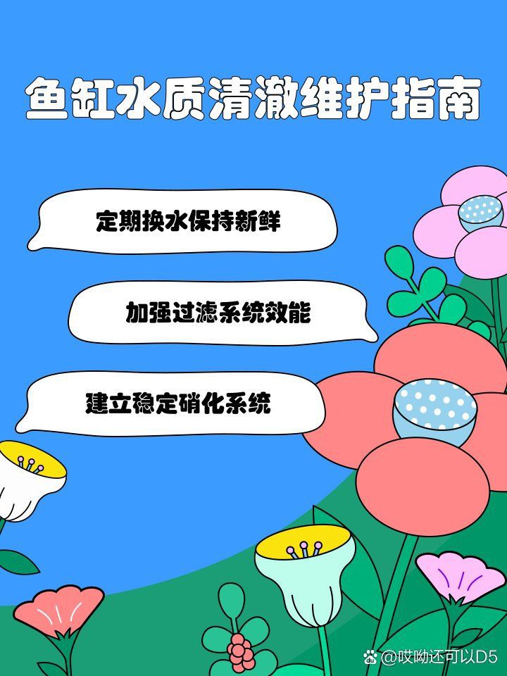常德魚缸維護【常德地區魚缸的科學維護方案】