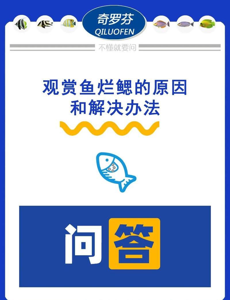 爛鰓病會傳染其他魚嗎？【魚爛身會傳染嗎】
