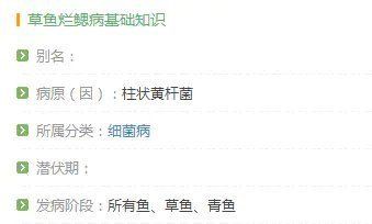 爛鰓病會傳染其他魚嗎？【魚爛身會傳染嗎】