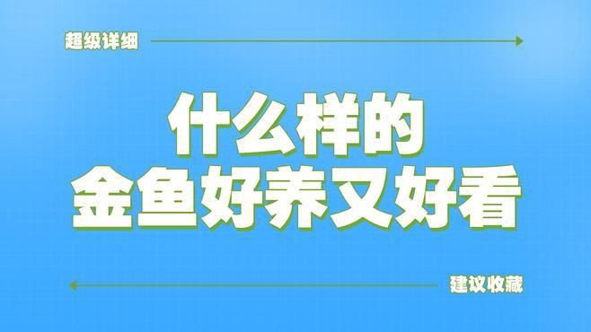 有哪些著名的金魚品種？【達(dá)爾文曾贊嘆其無限多樣的顏色和非凡的表型結(jié)構(gòu)變化】