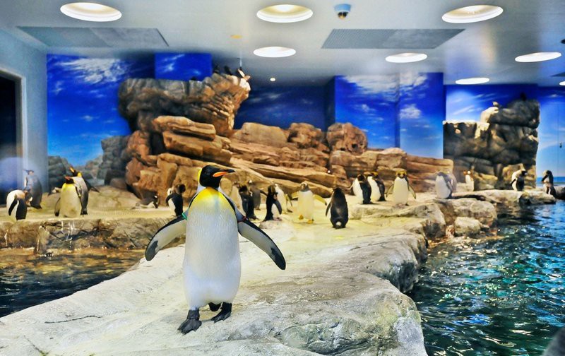 下關水族店【下關水族店的最佳游玩時間】