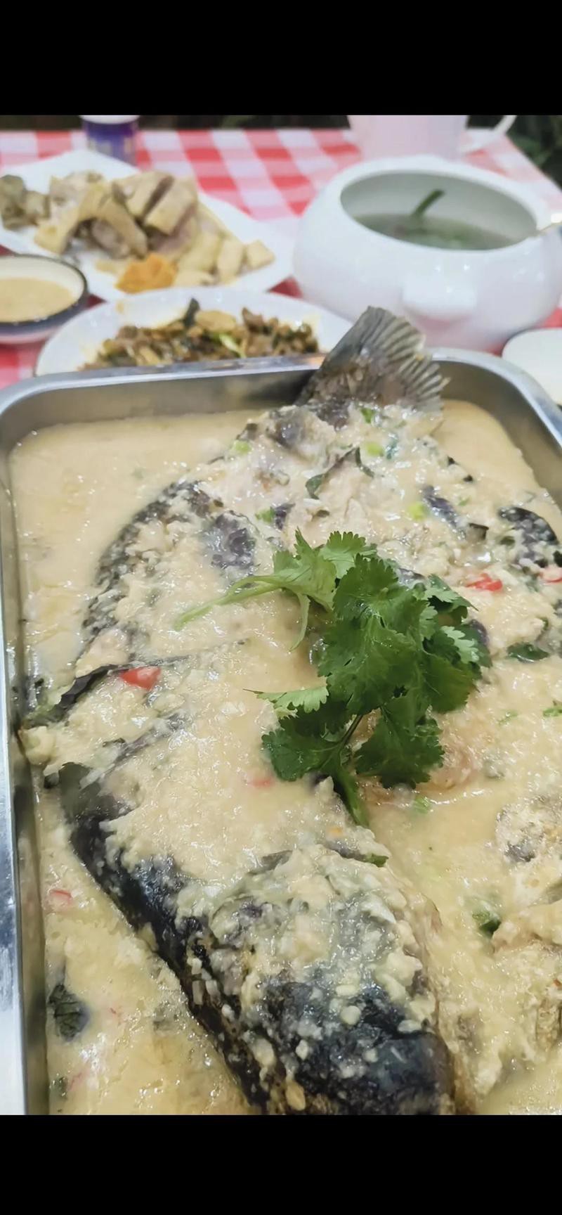 上思龍魚店【上思龍魚店是一家專注于淡水魚養殖與銷售與銷售的特色店鋪】