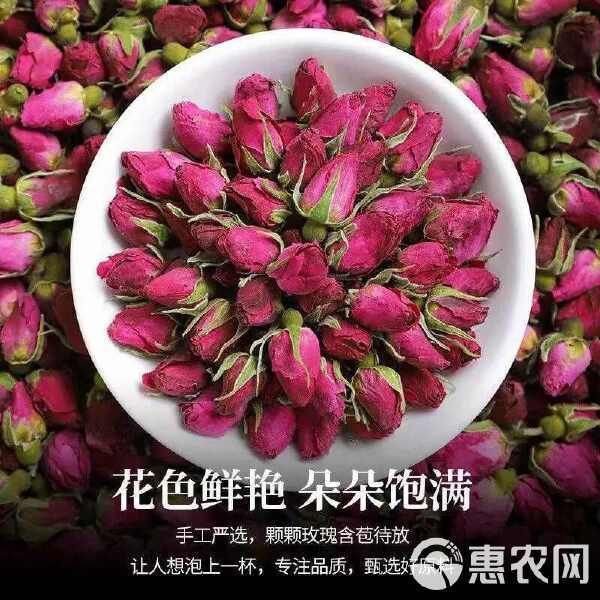 玫瑰的價格多少錢一斤【2018年8月玫瑰價格行情】