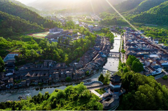 寧強(qiáng)龍魚店【大眾點(diǎn)評(píng)——寧強(qiáng)縣龍魚店】