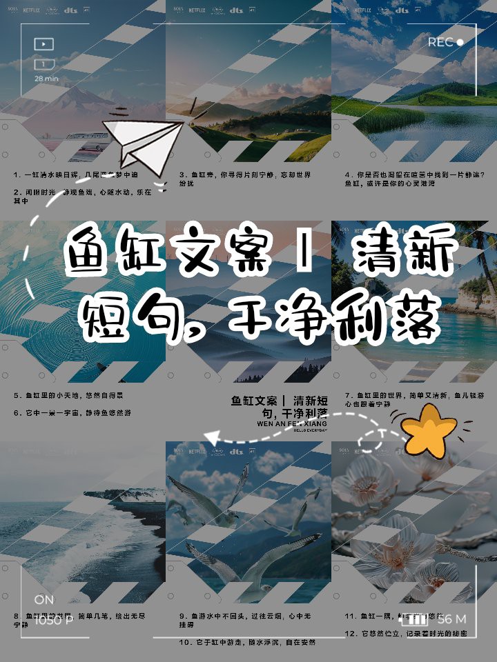 二手魚缸出售100元【二手魚缸價值百元！】