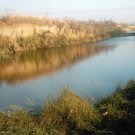 唐河龍魚店【唐河一家專注于龍魚養殖與銷售的特色水族店鋪】