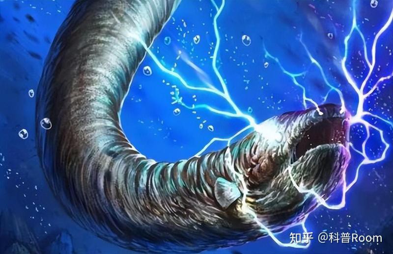 電鰻可以電死人嗎【博物,用電鰻的電電電鰻,電鰻會被電死嗎】