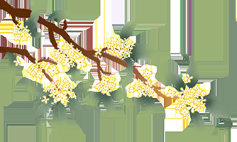 什么醫院最好【什么醫院最好，在探尋“什么醫院最好”這一問題時并無統一答案】