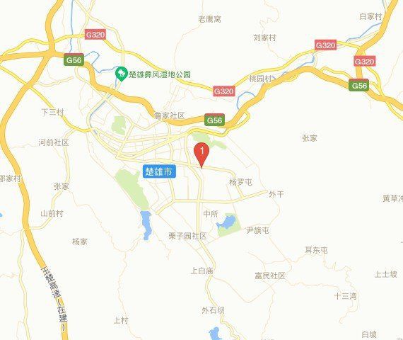 楚雄彝族自治州龍魚店，楚雄州2024年經濟總量突破2000億元
