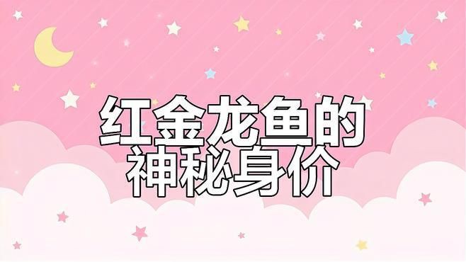 紅金龍魚為什么這么貴？【紅金龍魚為什么那么貴】