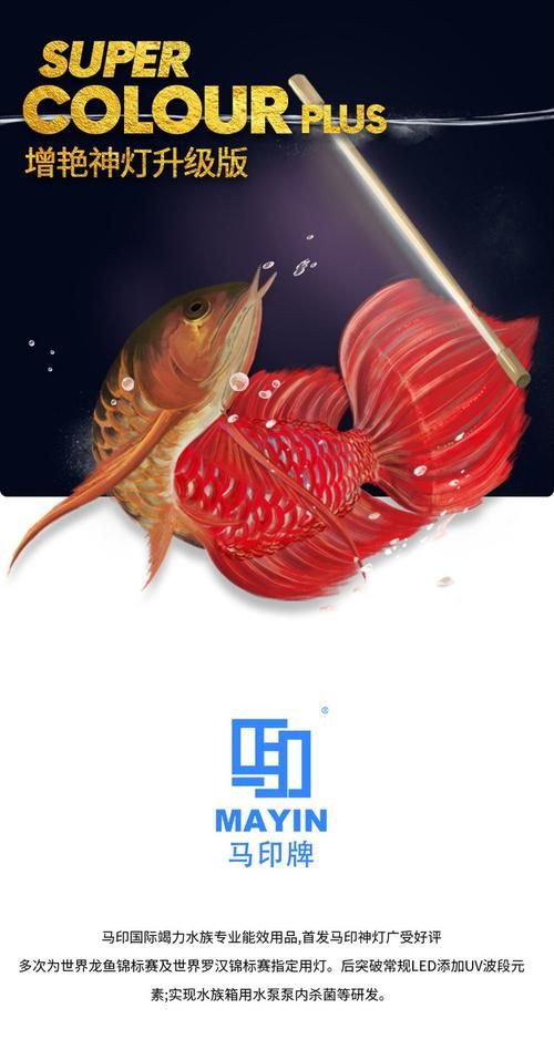 馬印神燈圖片【馬印神燈plus三基色龍魚專用增色增色增色增艷燈】