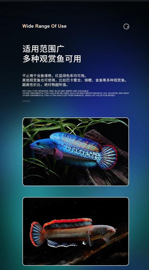馬印神燈圖片【馬印神燈plus三基色龍魚專用增色增色增色增艷燈】