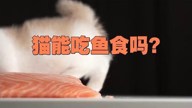 貓吃魚好還是吃貓糧好【農村的貓吃剩飯,城里貓吃貓糧還嫌便宜,這么矯情萌寵指南】