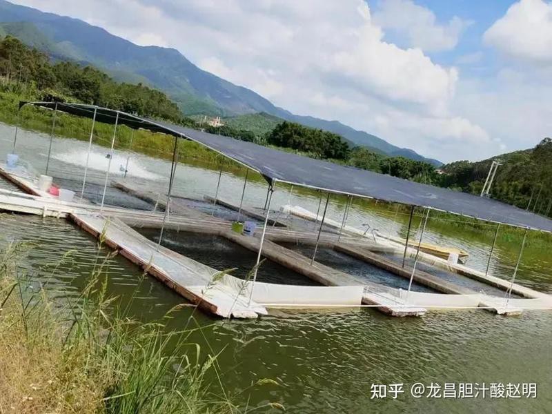 佛魚市場價目表【《佛魚市場價目表》】