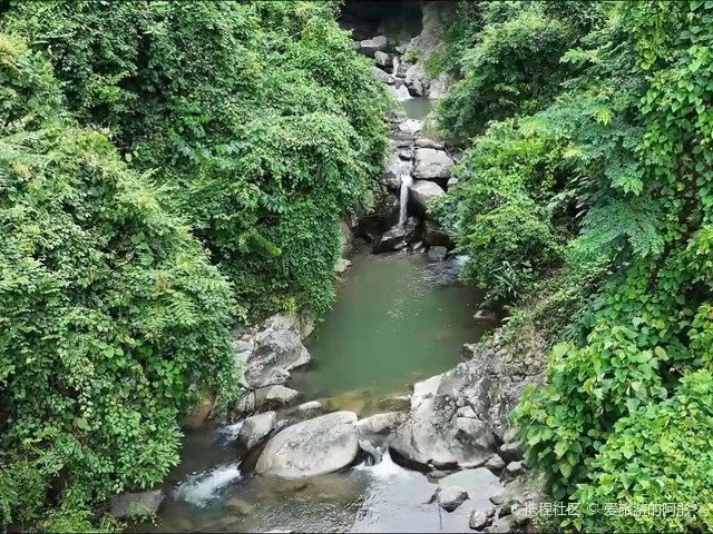 寧明水族店【寧明縣的水族店有哪些知名品牌】