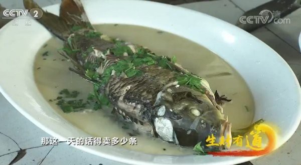 寬城滿族龍魚店【寬城滿族龍魚店)流水溝店)攻略攜程旅行】