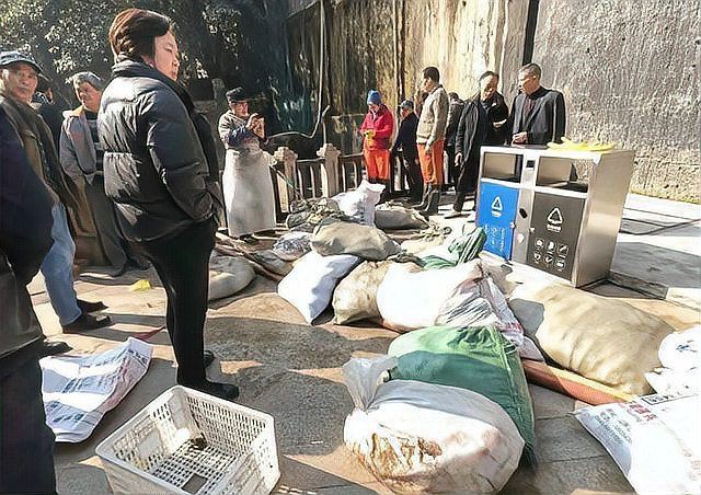 鯉魚死亡真實圖片【“鯉魚死亡真實圖片”直觀展現(xiàn)不同場景下鯉魚大量死亡】