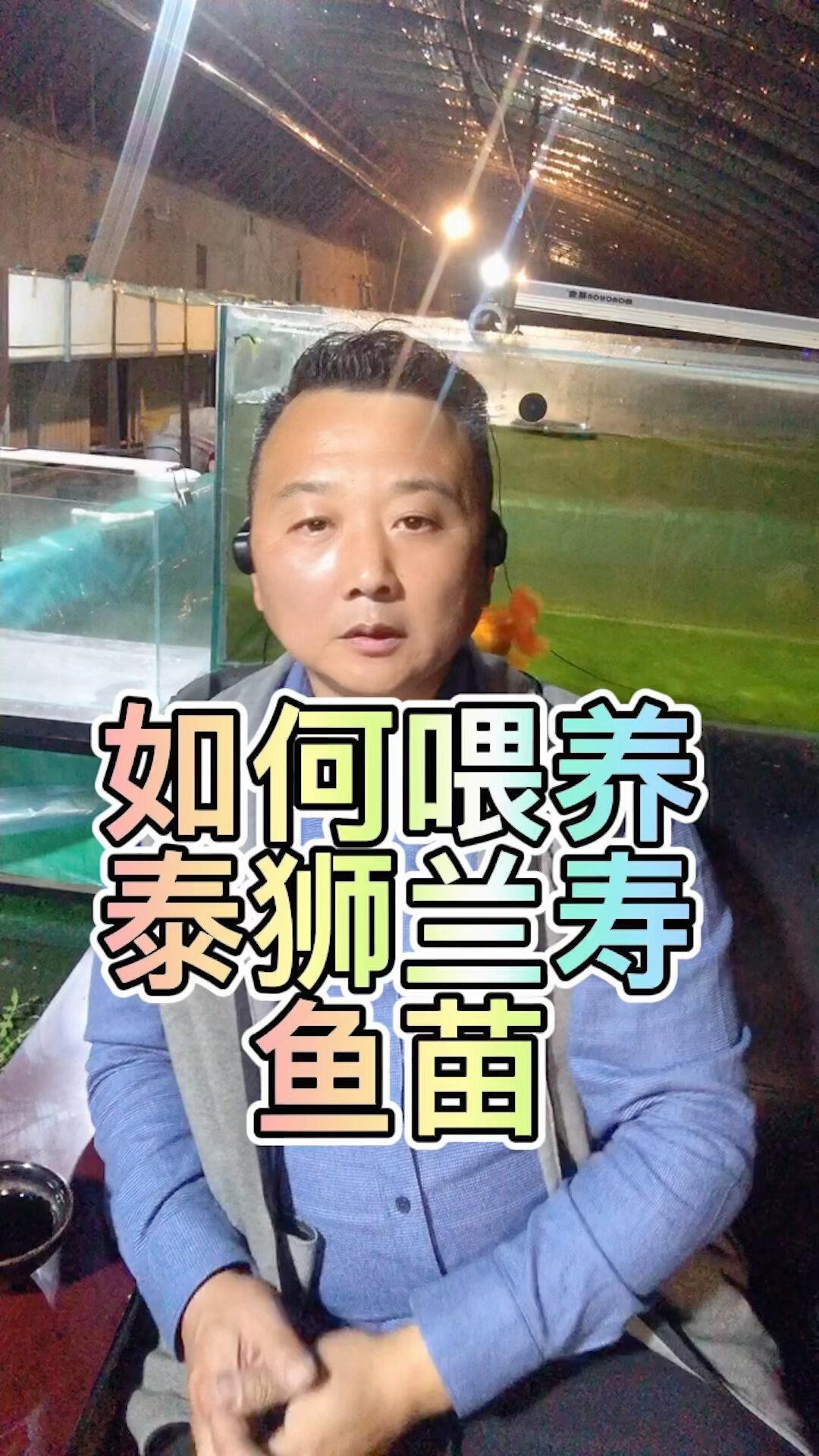 蘭壽金魚(yú)視頻觀賞大全【《蘭壽金魚(yú)視頻觀賞大全》】
