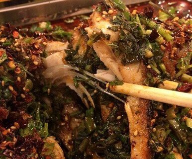 樂(lè)山龍魚(yú)店【樂(lè)山龍魚(yú)店哪個(gè)口碑最好】