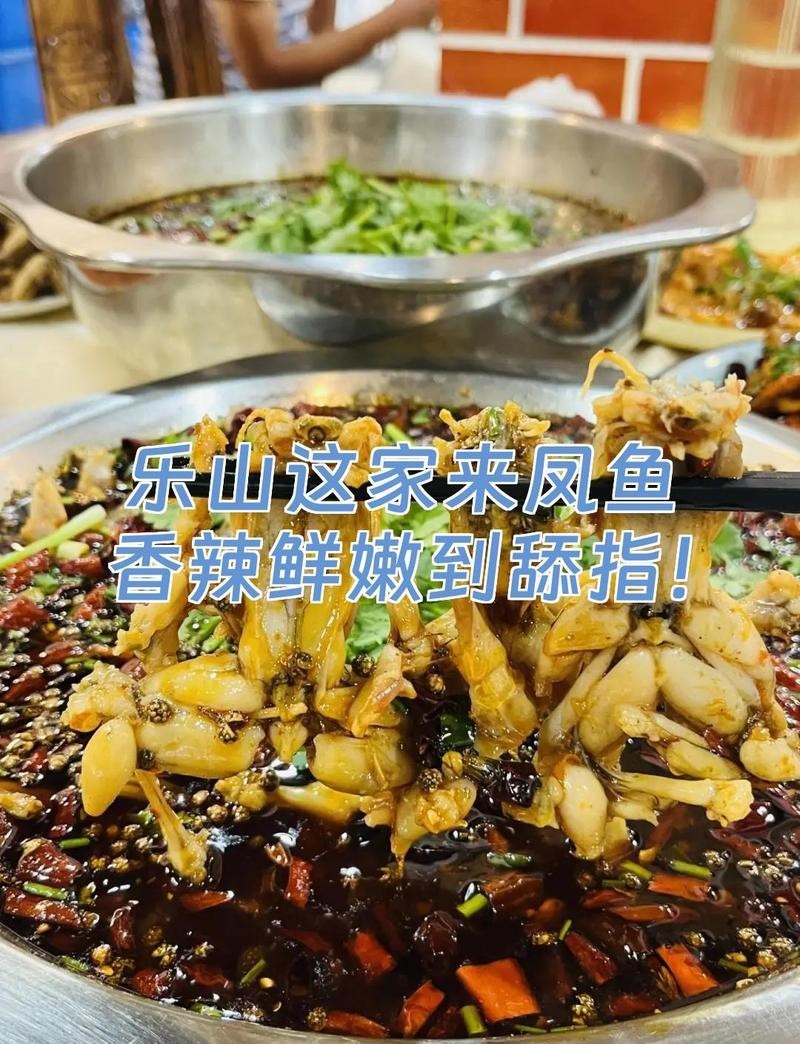 樂(lè)山龍魚(yú)店【樂(lè)山龍魚(yú)店哪個(gè)口碑最好】