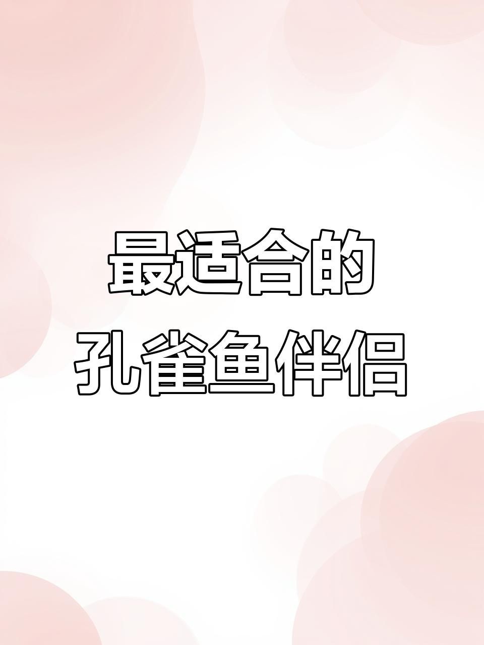 孔雀魚混養(yǎng)最佳伴侶魚【孔雀魚和什么魚可以混養(yǎng)】