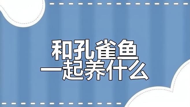 孔雀魚混養(yǎng)最佳伴侶魚【孔雀魚和什么魚可以混養(yǎng)】