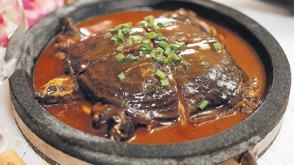 甲魚到家里有什么預兆【《甲魚到家里有什么預兆》科學認知為甲魚入宅現象】