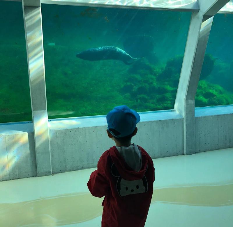 北海水族店【北海市擁有多家特色鮮明的水族店】 北海水族店【北海市擁有多家特色鮮明的水族店】 全國水族館企業名錄 第4張
