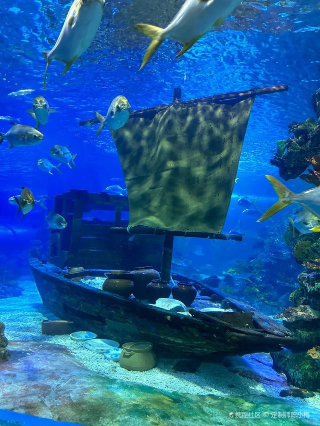北海水族店【北海市擁有多家特色鮮明的水族店】 北海水族店【北海市擁有多家特色鮮明的水族店】 全國水族館企業名錄 第5張