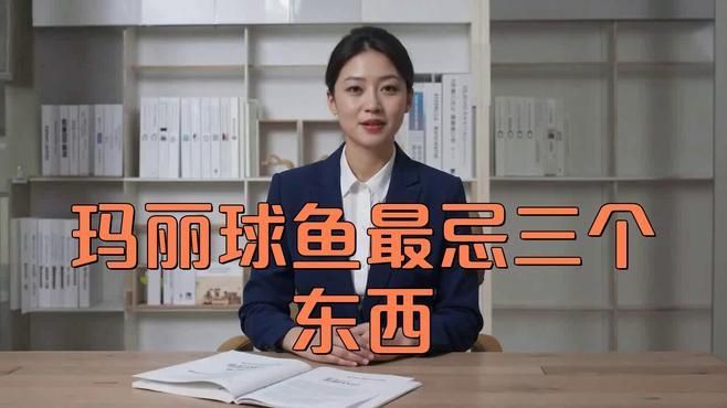 瑪麗球魚為什么不建議養，瑪麗球魚為什么不建議養酷颯笑匠 瑪麗球魚為什么不建議養，瑪麗球魚為什么不建議養酷颯笑匠 龍魚百科 第5張