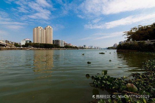 廣東觀魚釣場交通指南，廣東觀魚釣場大公開攜程旅行2021佛山國際觀賞魚文化節在哪里