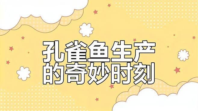 孔雀魚繁殖視頻，孔雀魚的繁殖過程