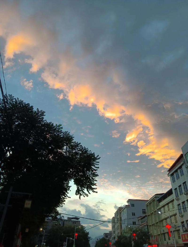 佛教中的寓意，佛教中的蓮花