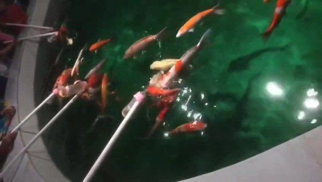 聊城水族館，聊城水族館游記