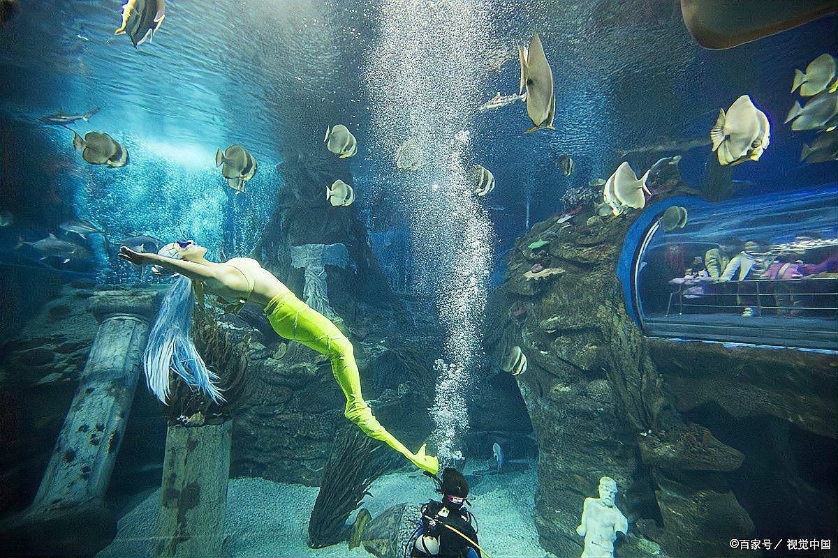 聊城水族館，聊城水族館游記
