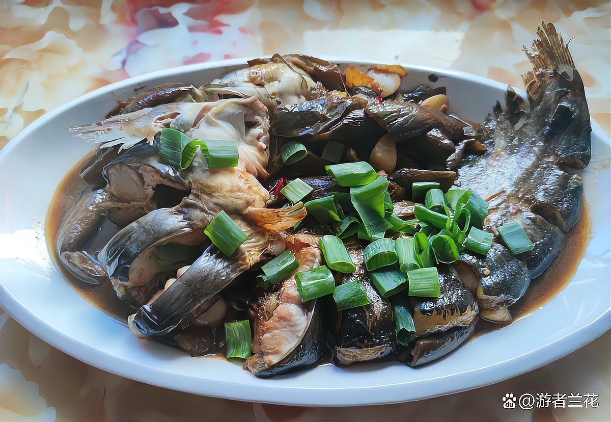 東北三道鱗鯉魚，東北三道鱗鯉魚，你吃過嗎？