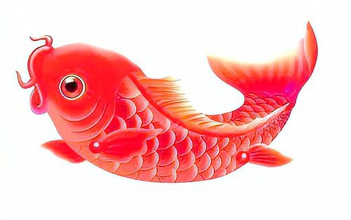 東北三道鱗鯉魚，東北三道鱗鯉魚，你吃過嗎？