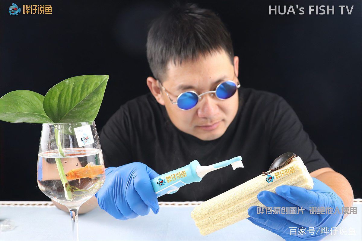 橫放缸和豎放缸哪個更美觀？，“富不買橫廳,窮不買豎廳”背后的原因太扎心了