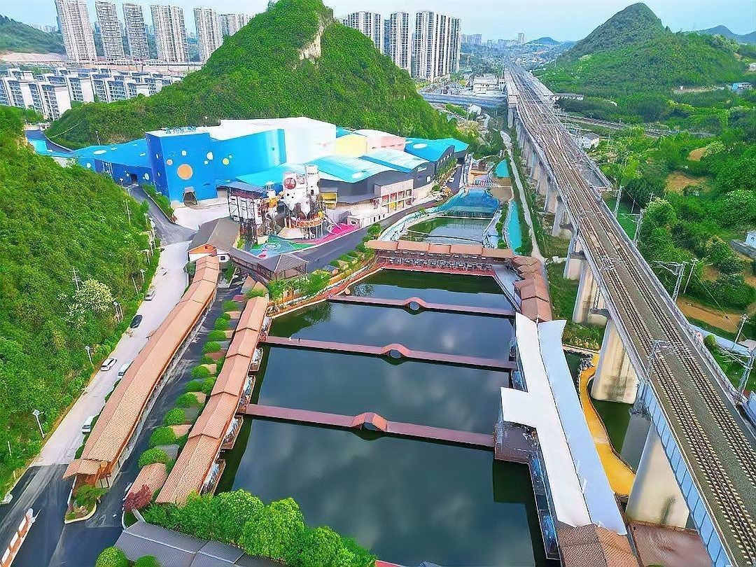 威寧龍魚店，威寧龍魚養(yǎng)殖需要什么條件