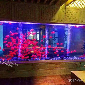 泰州魚缸店，興化市騰龍水族店