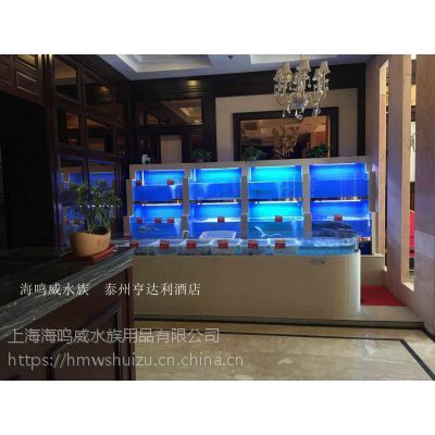 泰州魚缸店，興化市騰龍水族店