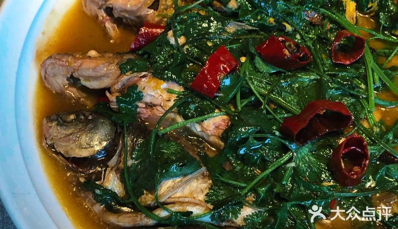 雙鴨山龍魚店，雙鴨山口碑最好的龍魚店姚胖子活魚鍋價格不值不值
