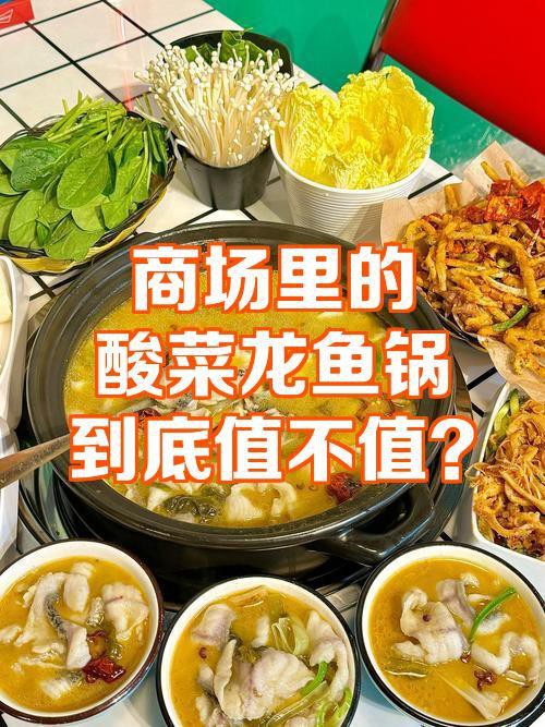 雙鴨山龍魚店，雙鴨山口碑最好的龍魚店姚胖子活魚鍋價格不值不值